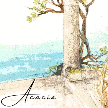 Ferienhaus Acacia
